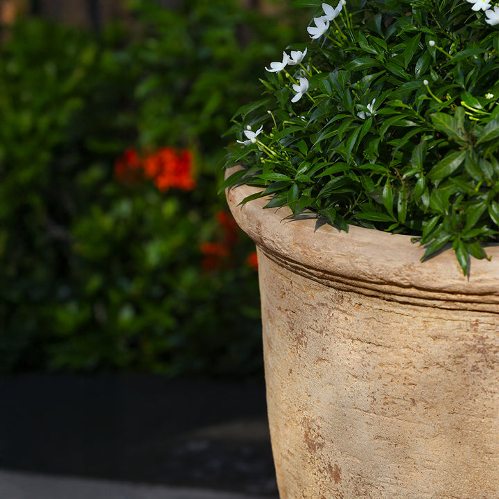 Noto Planter