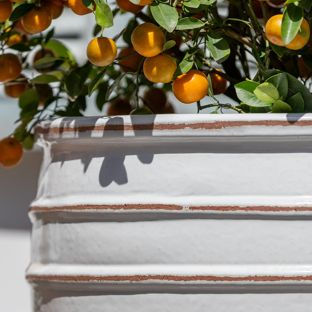 Vari Planter || Antique White