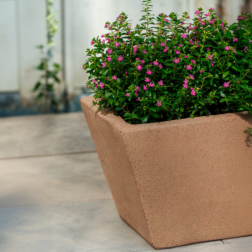 Chelsea Window Box - 281010