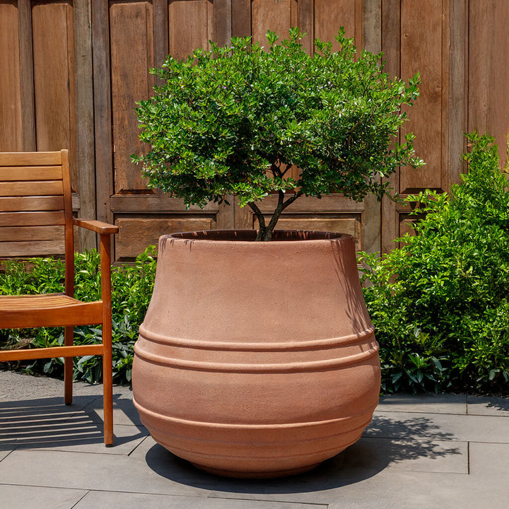 Citron Planter