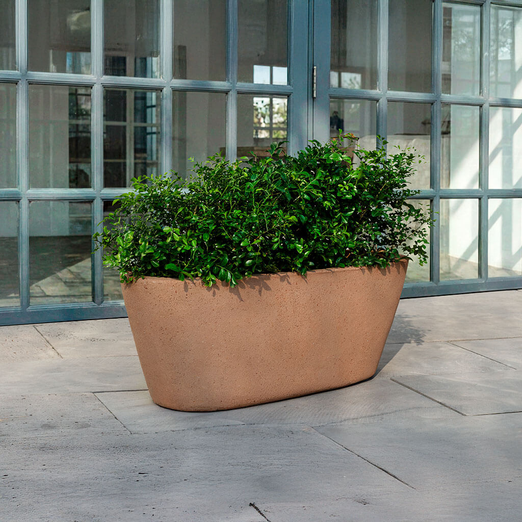 Chelsea Oval Window Box - 281010