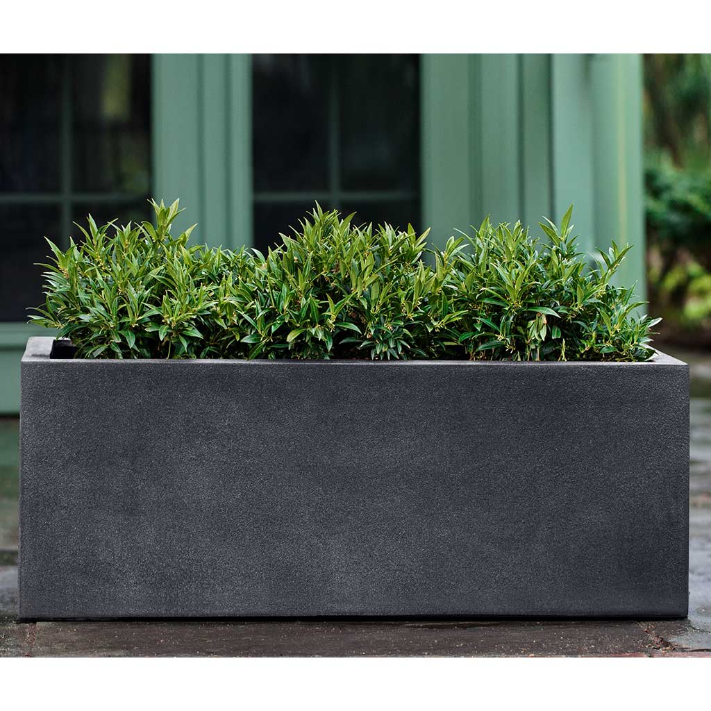 Sandal Planter