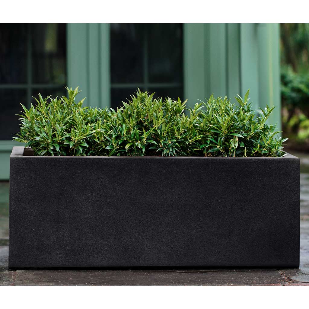 Sandal Planter