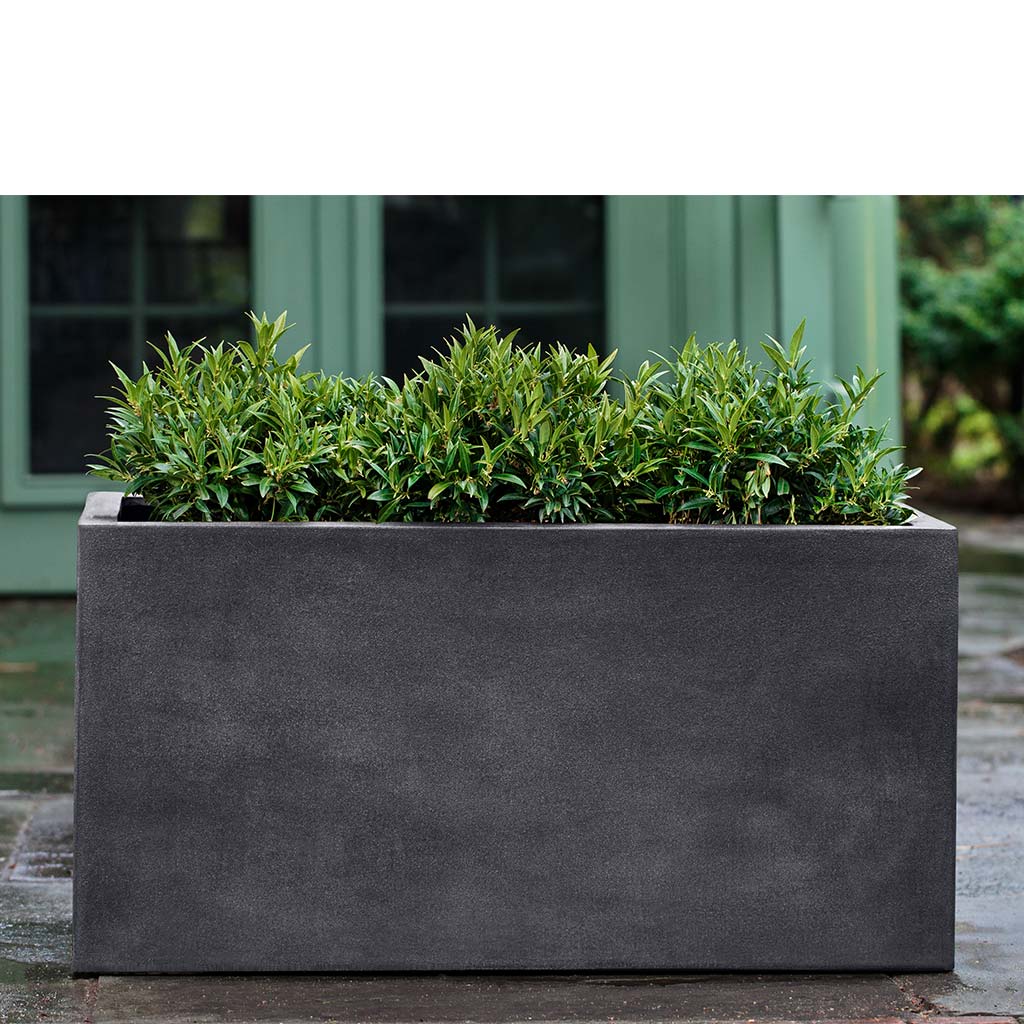 Sandal Planter