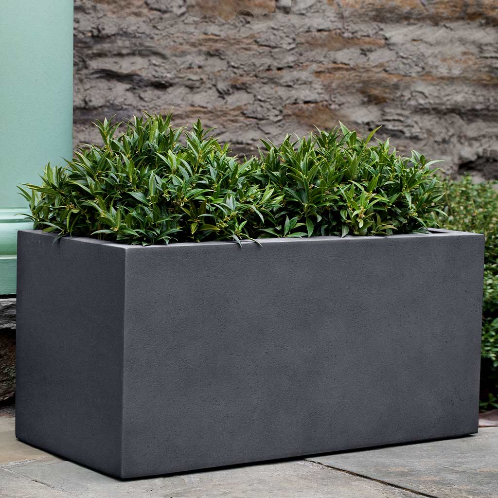 Sandal Planter