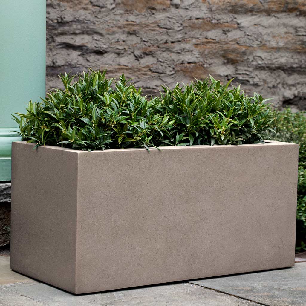 Sandal Planter