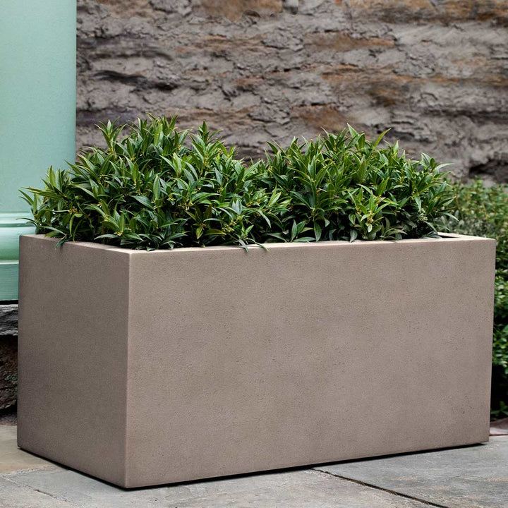Sandal Planter