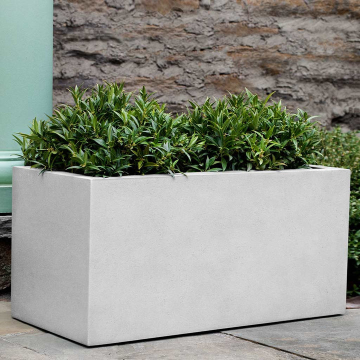 Sandal Planter