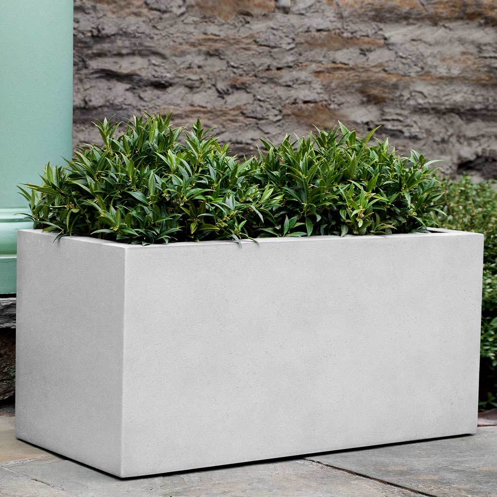 Sandal Planter