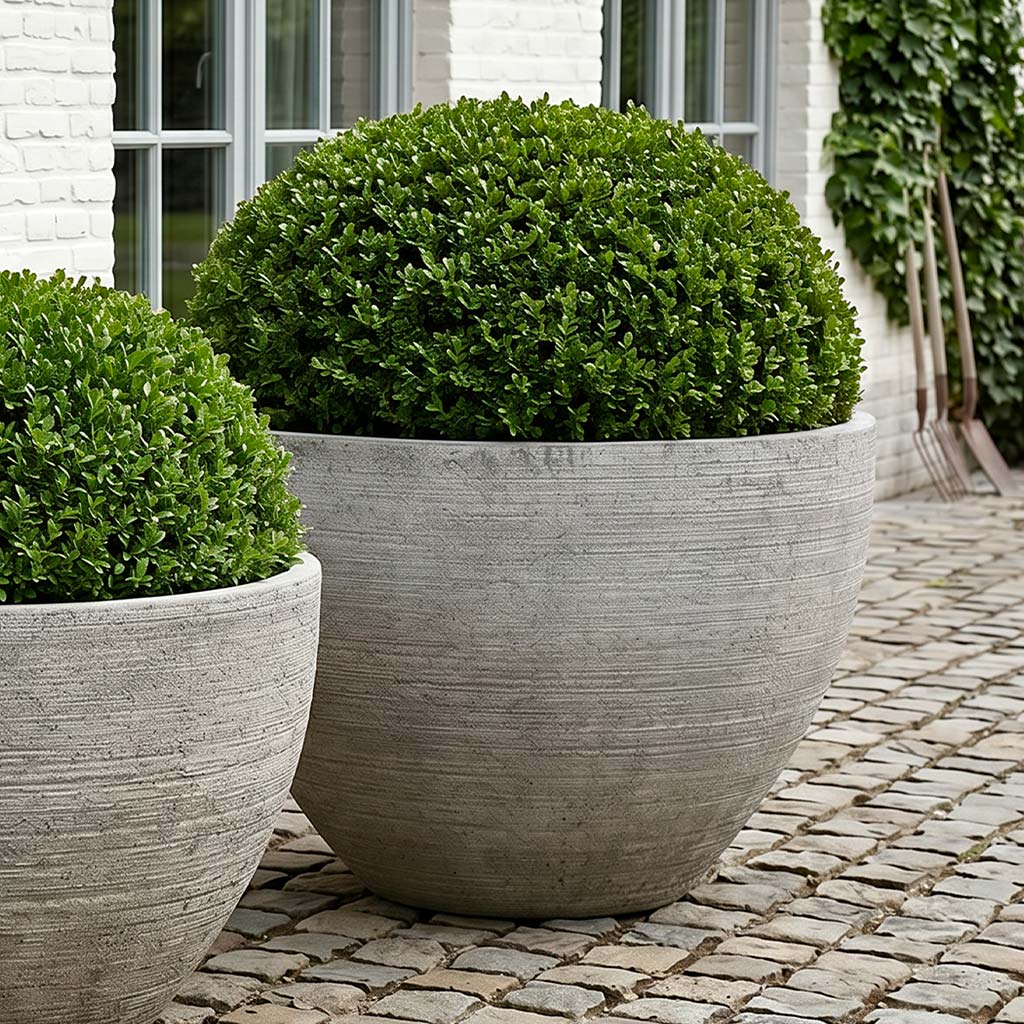 Nori Planter
