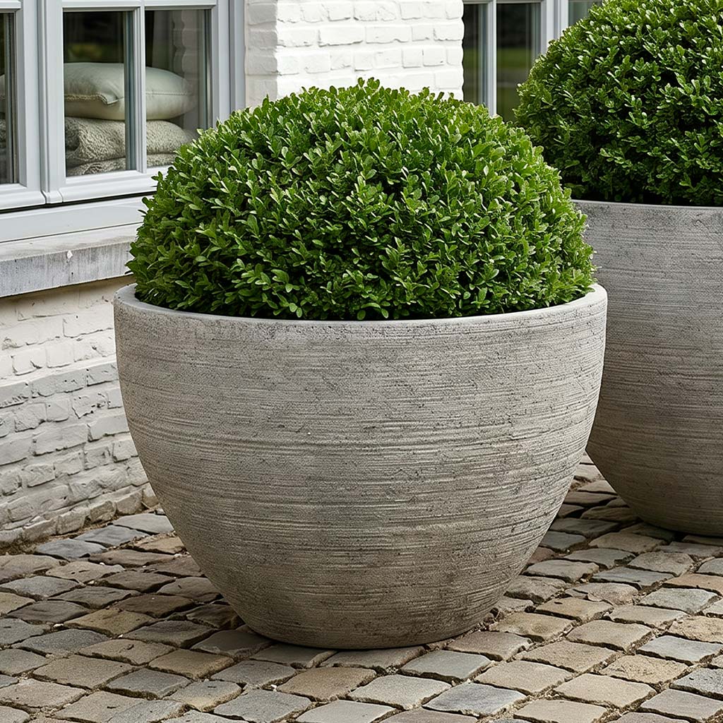 Nori Planter