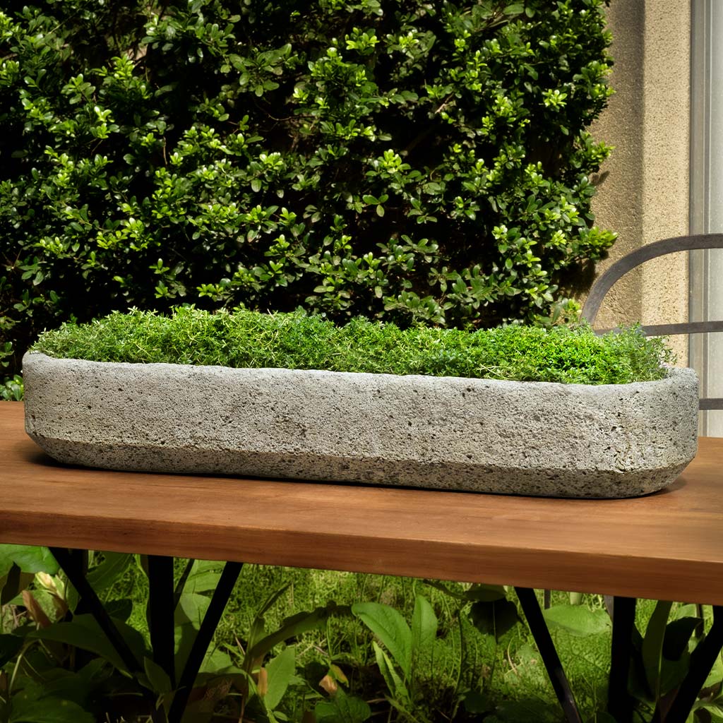 Peniche Planter