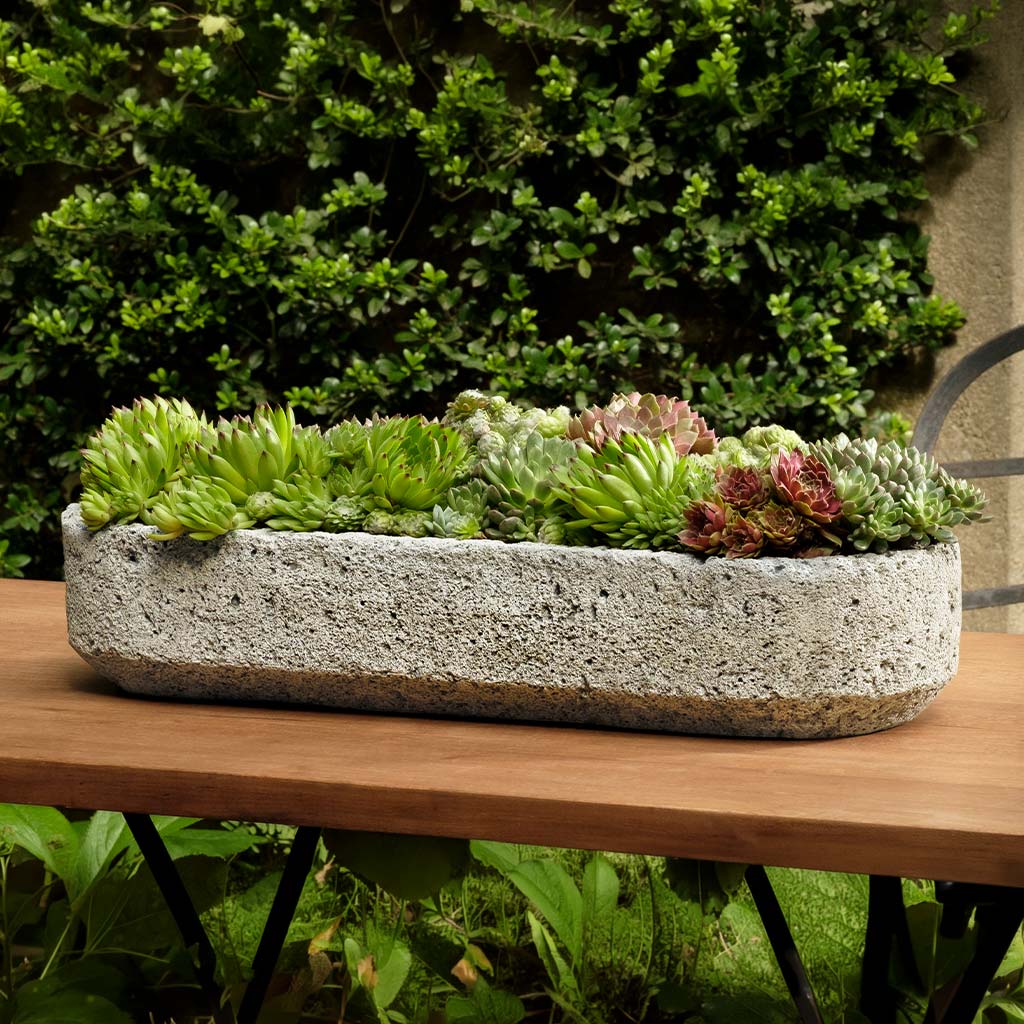 Peniche Planter
