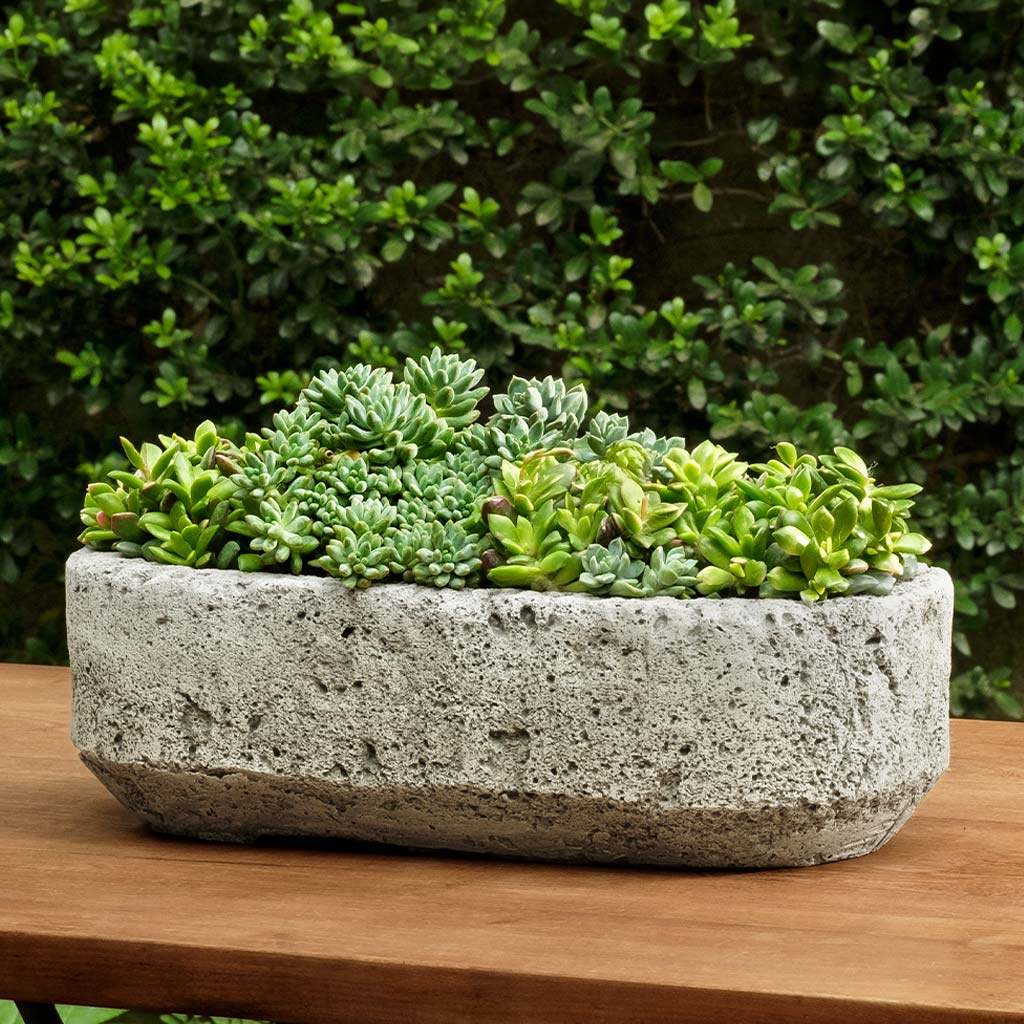 Peniche Planter