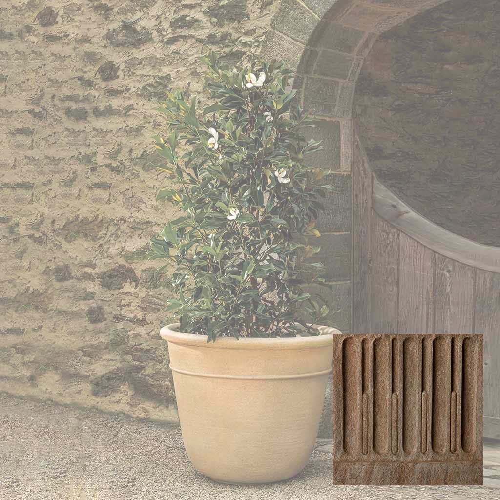 Carema Planter