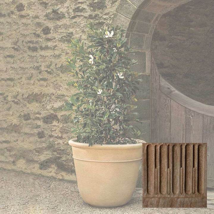 Carema Planter