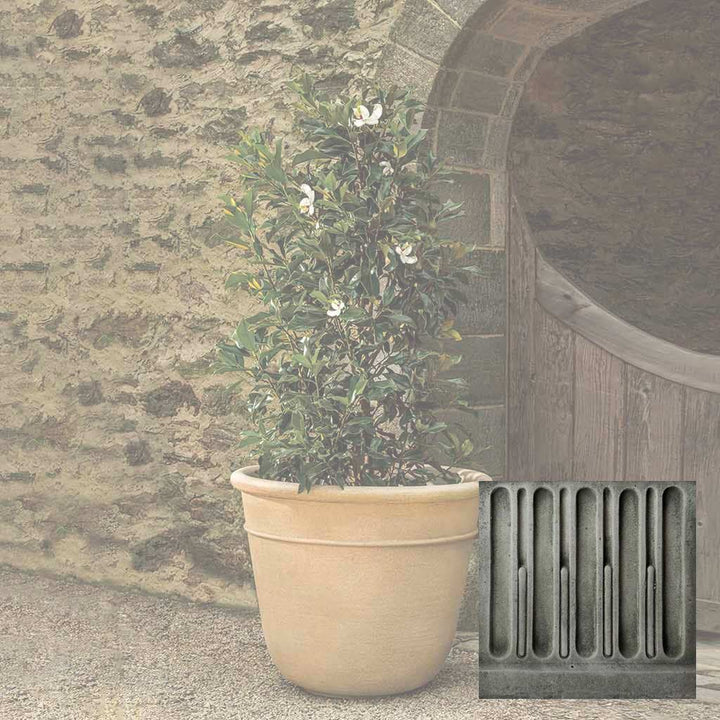 Carema Planter