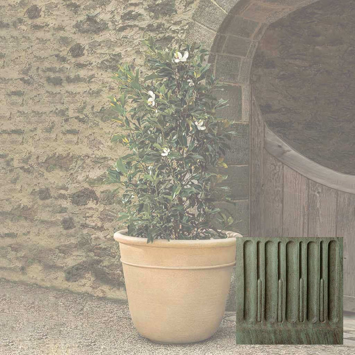 Carema Planter