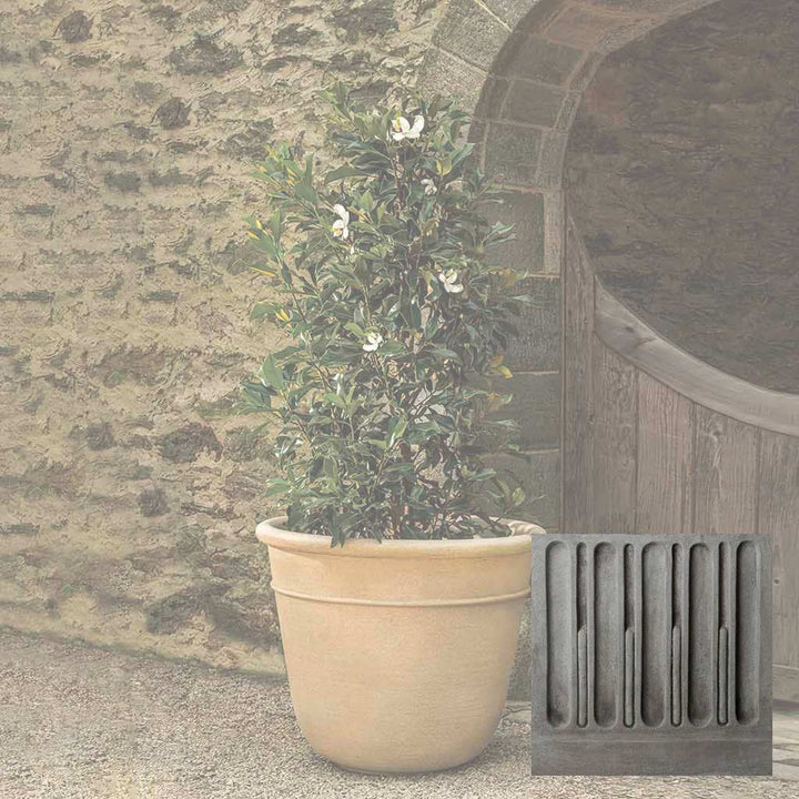 Carema Planter