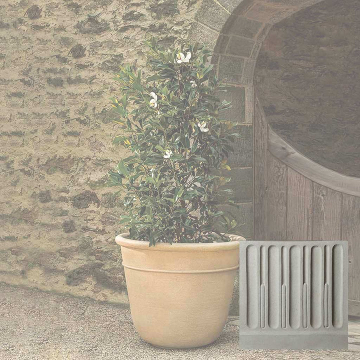 Carema Planter