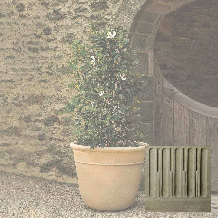 Carema Planter