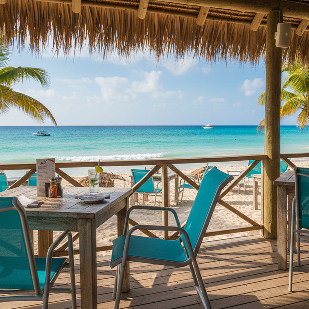 Alante Sling Dining Chair