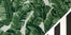 Bold Jungle