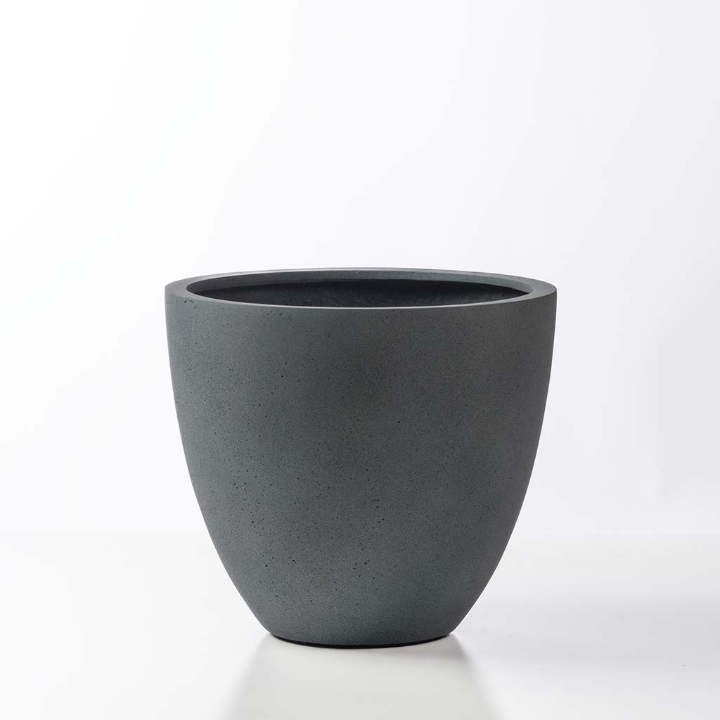 Eva Planter