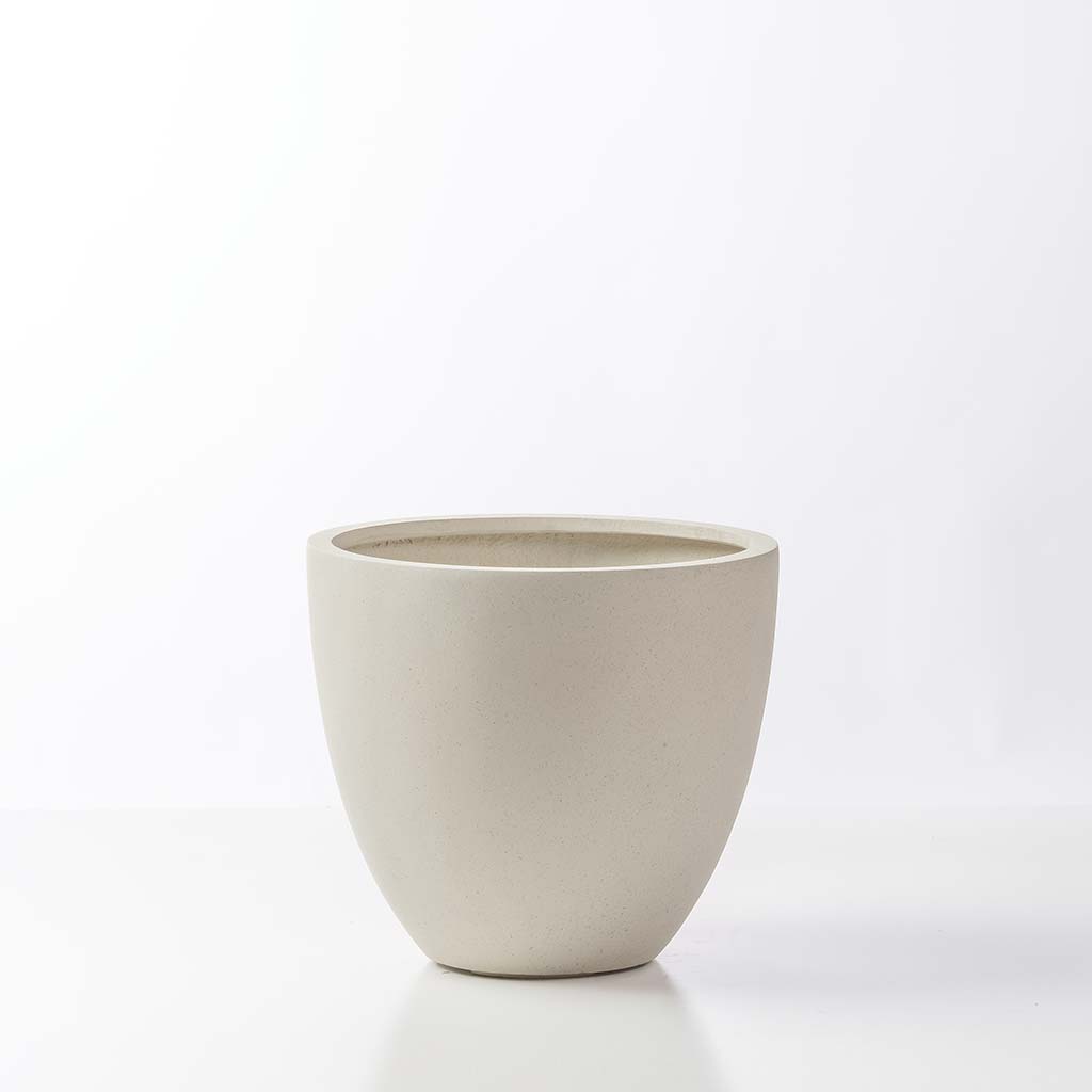 Eva Planter