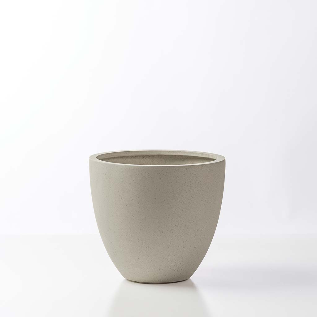 Eva Planter