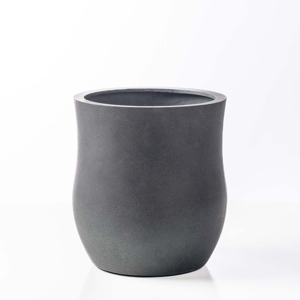 Carrin Planter