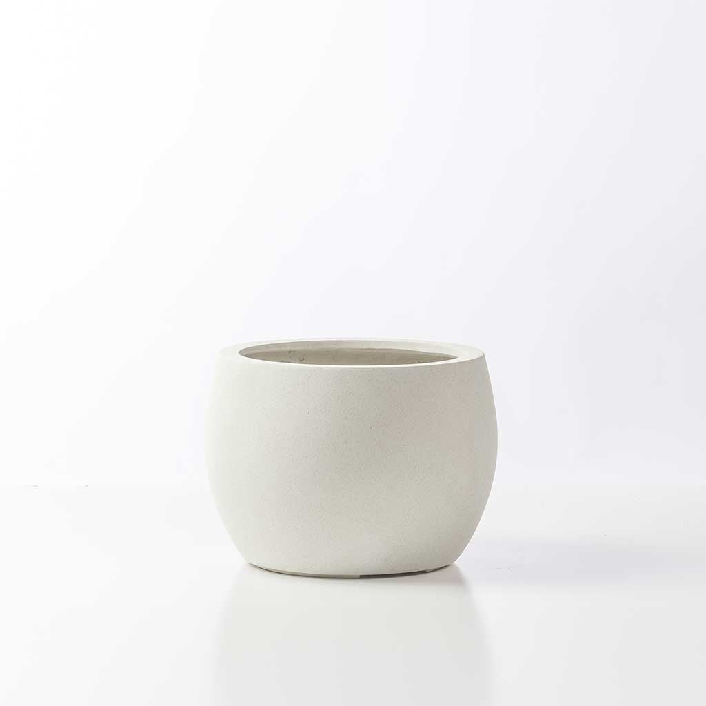 Elin Planter