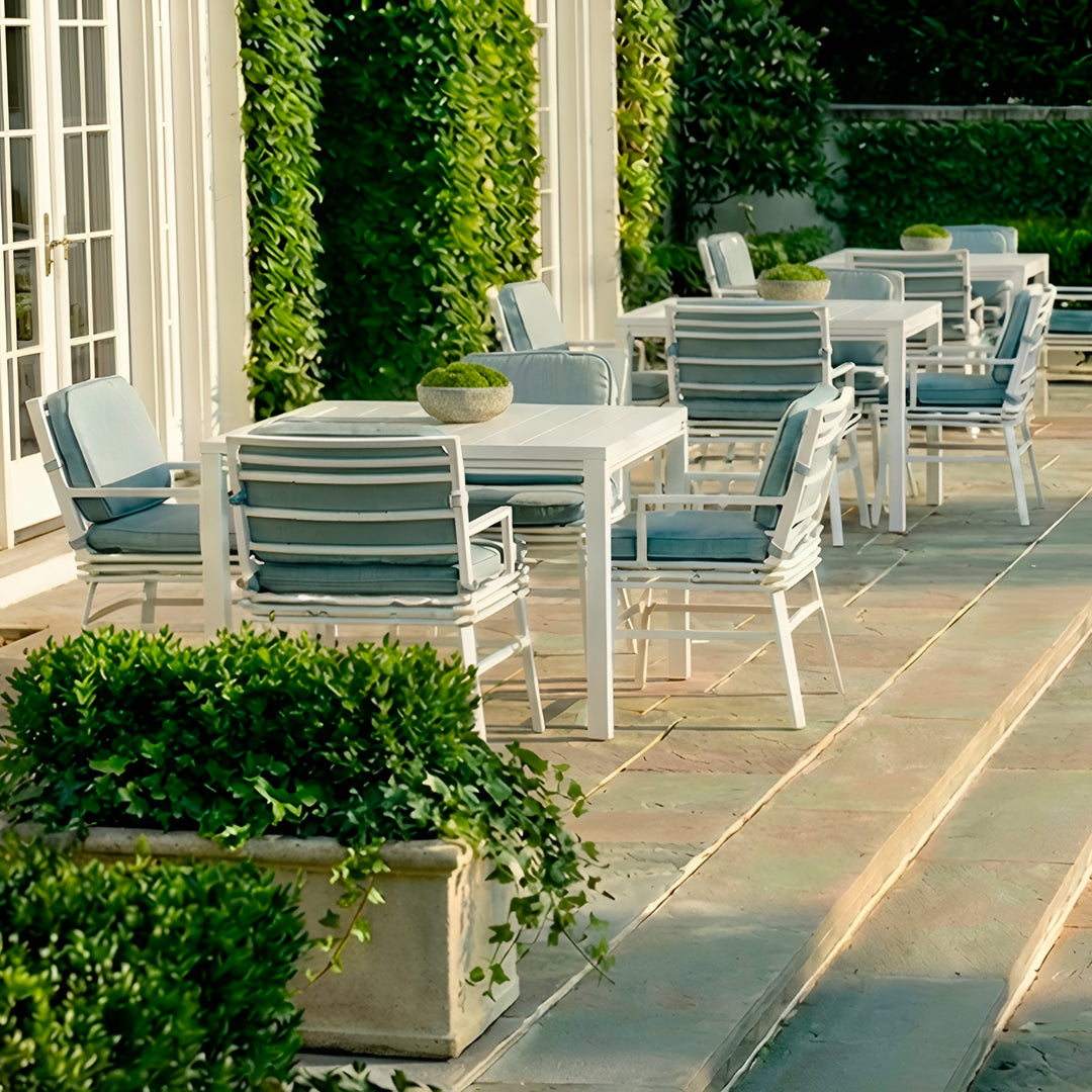 Saratoga Dining Chair with Cushion