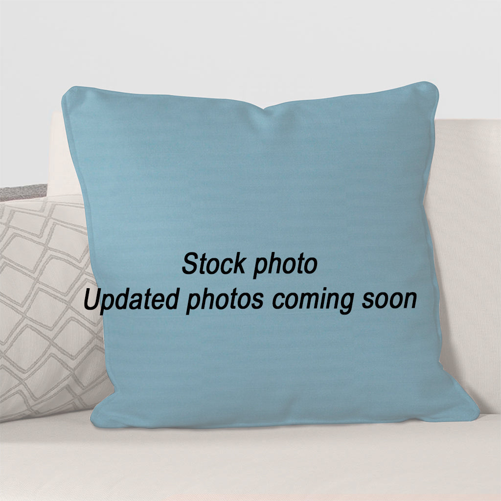 Throw Pillow 16 x 16