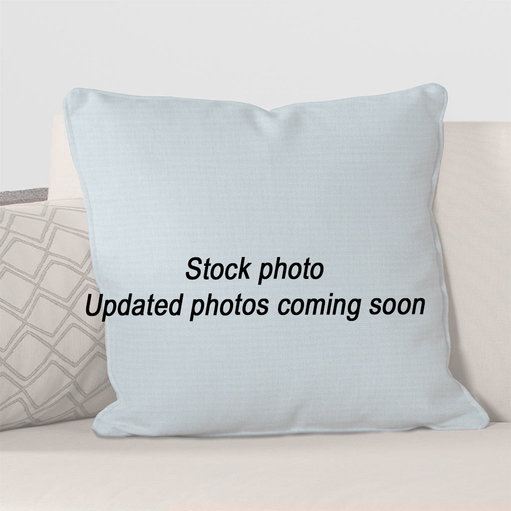 Throw Pillow 17 x 17