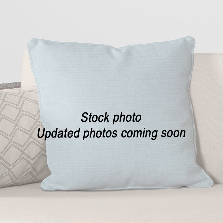 Throw Pillow 17 x 17