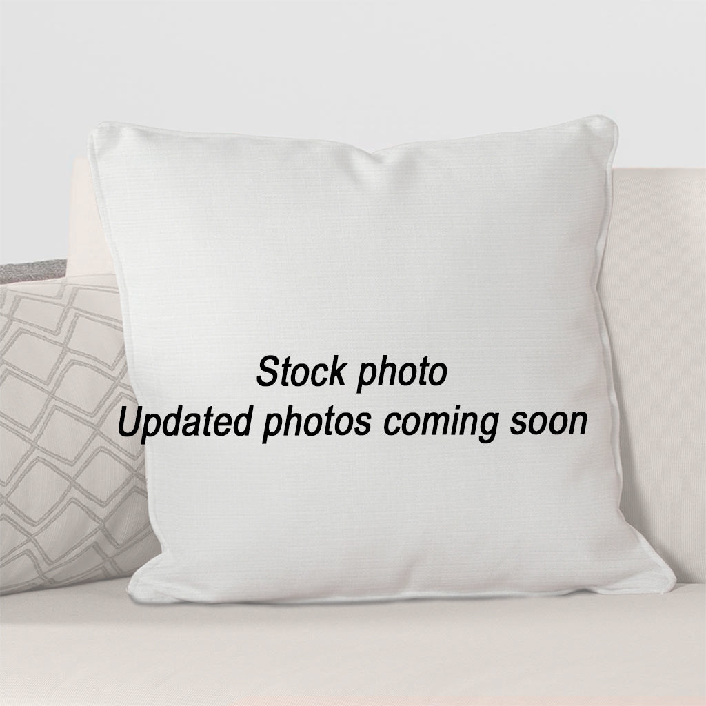 Throw Pillow 19 x 19