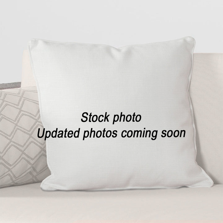 Throw Pillow 19 x 19