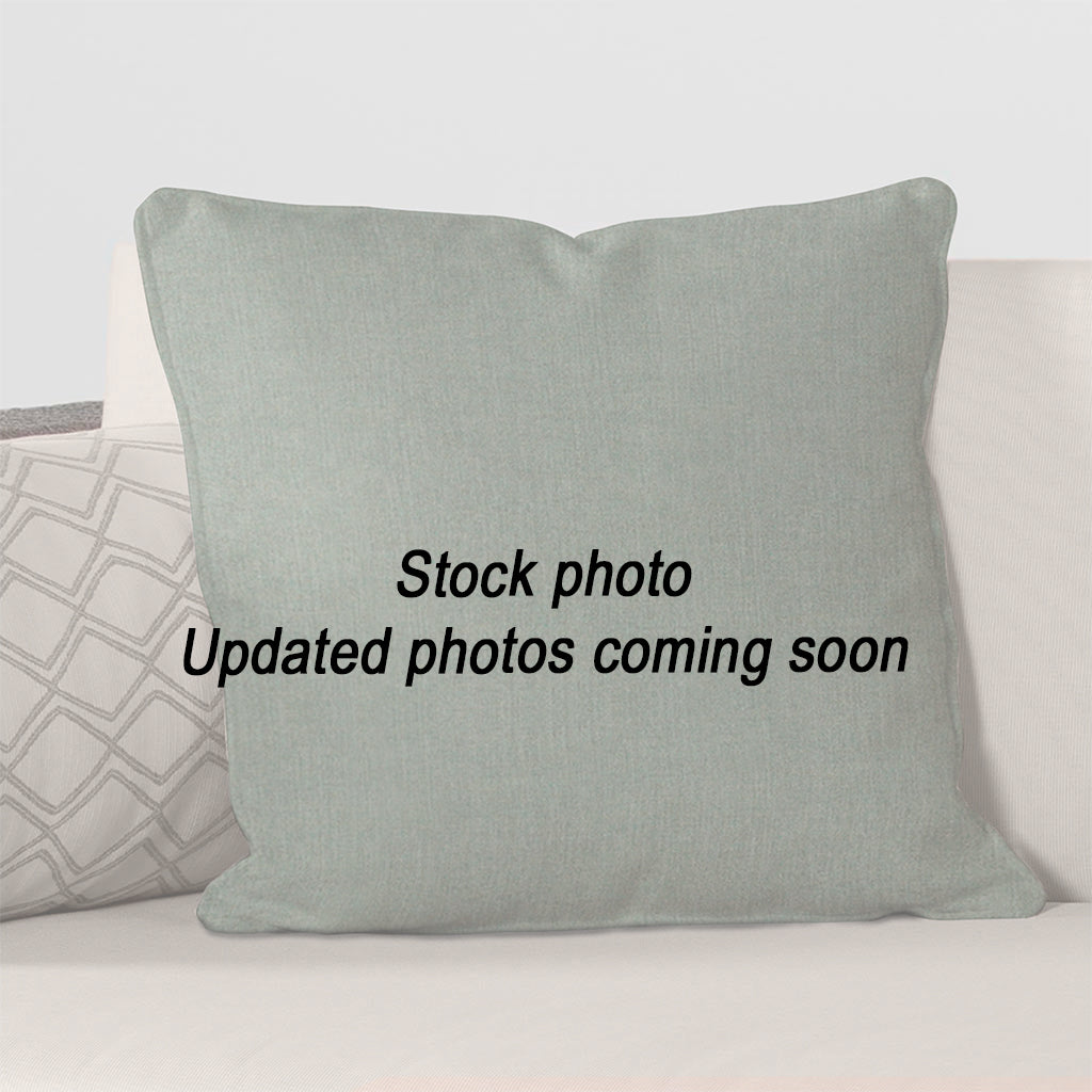 Throw Pillow 20 x 20