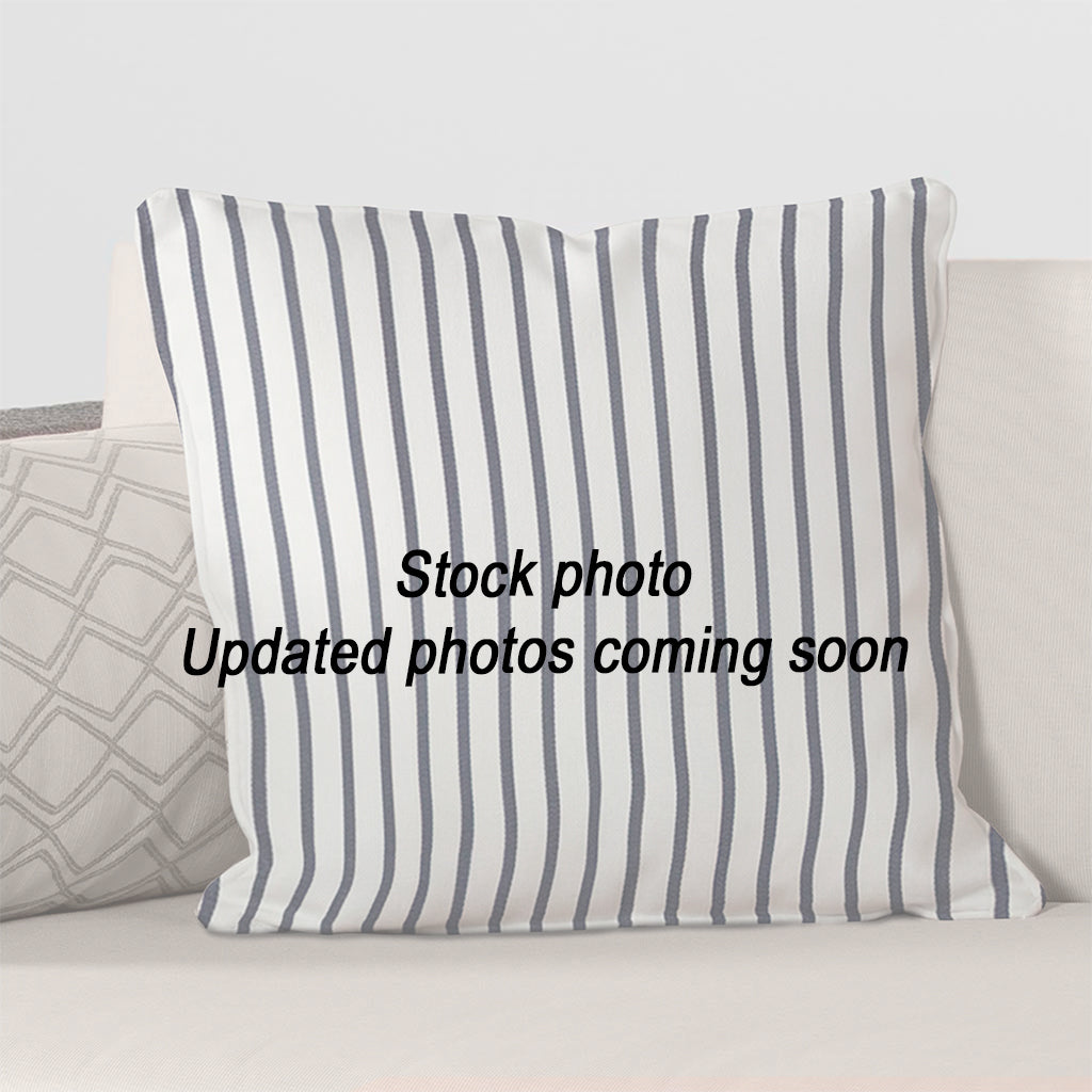 Throw Pillow 22 x 22