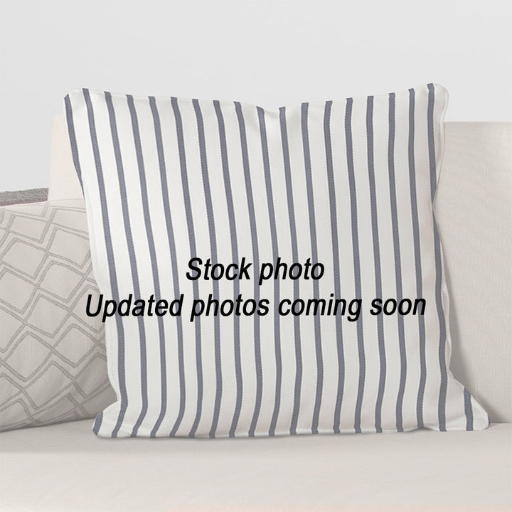 Throw Pillow 22 x 22
