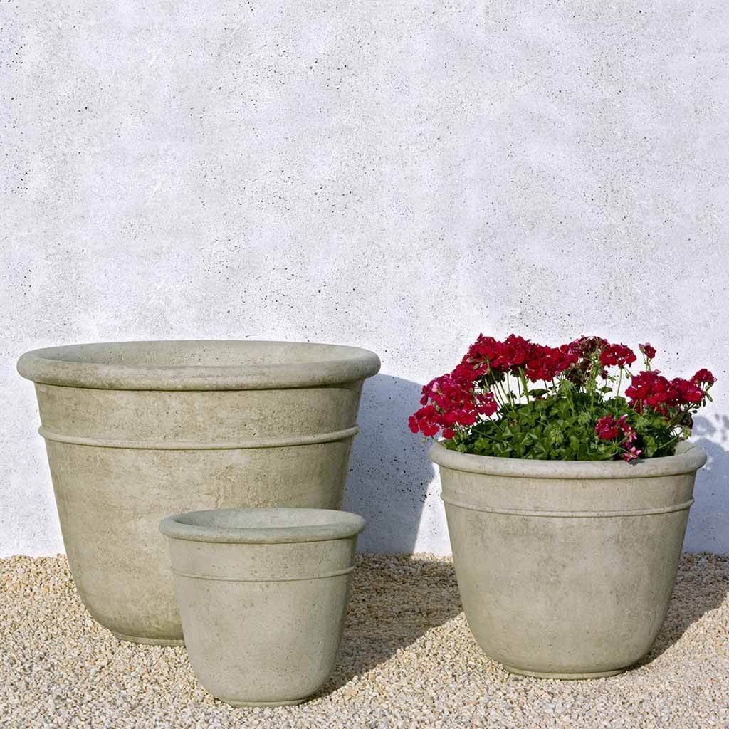 Carema Planter